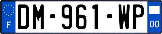 DM-961-WP