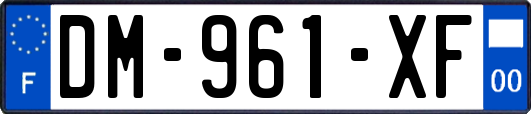 DM-961-XF