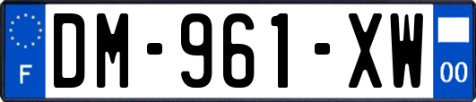 DM-961-XW