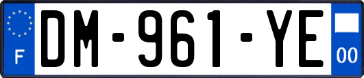 DM-961-YE