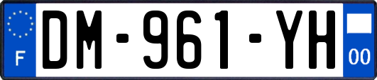 DM-961-YH