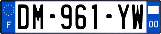 DM-961-YW