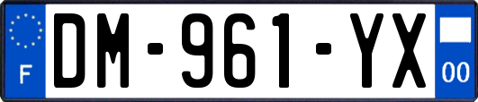 DM-961-YX