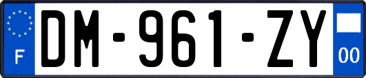 DM-961-ZY