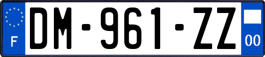 DM-961-ZZ