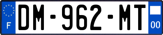 DM-962-MT