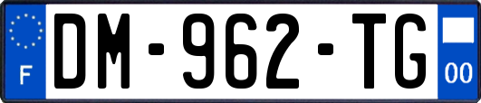 DM-962-TG