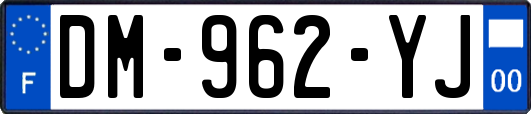 DM-962-YJ