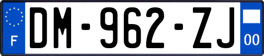 DM-962-ZJ