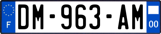 DM-963-AM