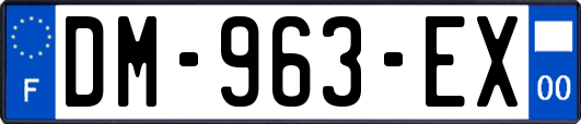 DM-963-EX