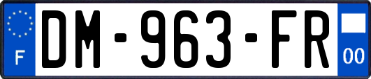 DM-963-FR