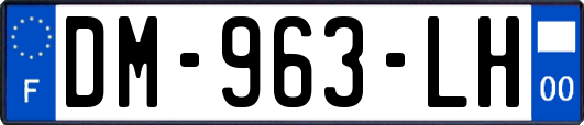 DM-963-LH