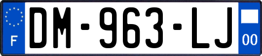 DM-963-LJ