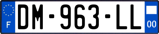 DM-963-LL