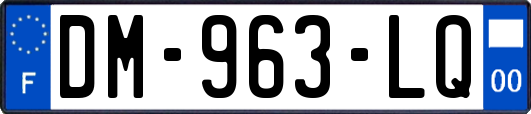 DM-963-LQ
