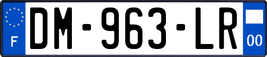 DM-963-LR