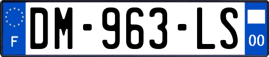 DM-963-LS