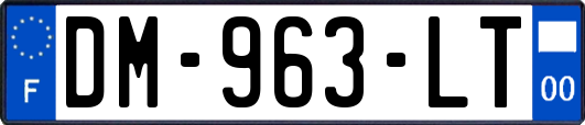 DM-963-LT