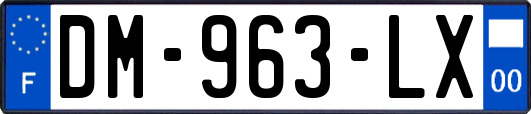 DM-963-LX