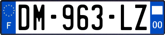 DM-963-LZ
