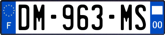 DM-963-MS