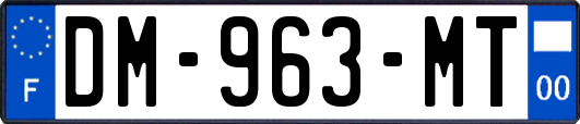DM-963-MT