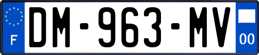 DM-963-MV