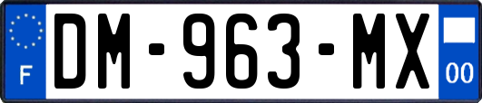 DM-963-MX