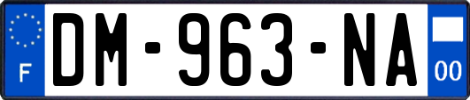DM-963-NA