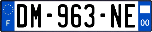 DM-963-NE