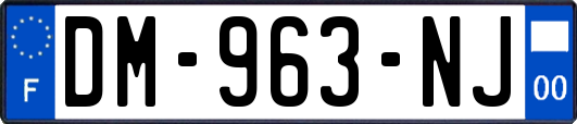 DM-963-NJ