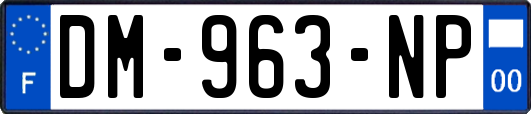 DM-963-NP