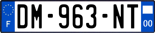 DM-963-NT