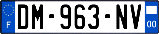 DM-963-NV