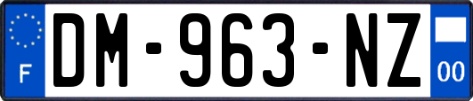 DM-963-NZ