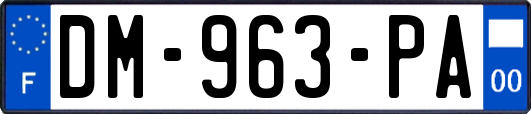DM-963-PA