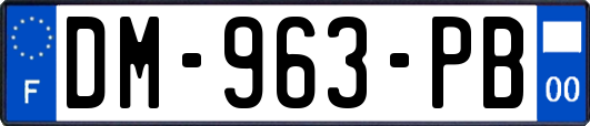DM-963-PB