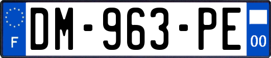 DM-963-PE