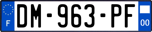 DM-963-PF