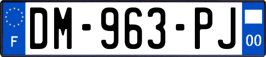 DM-963-PJ