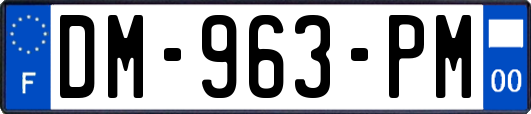 DM-963-PM