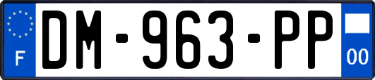 DM-963-PP