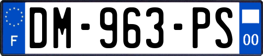 DM-963-PS