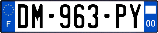 DM-963-PY