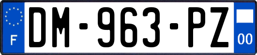 DM-963-PZ
