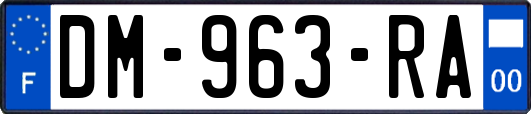DM-963-RA