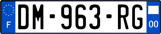 DM-963-RG