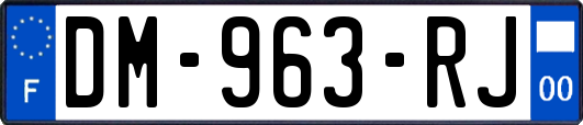 DM-963-RJ