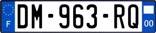 DM-963-RQ